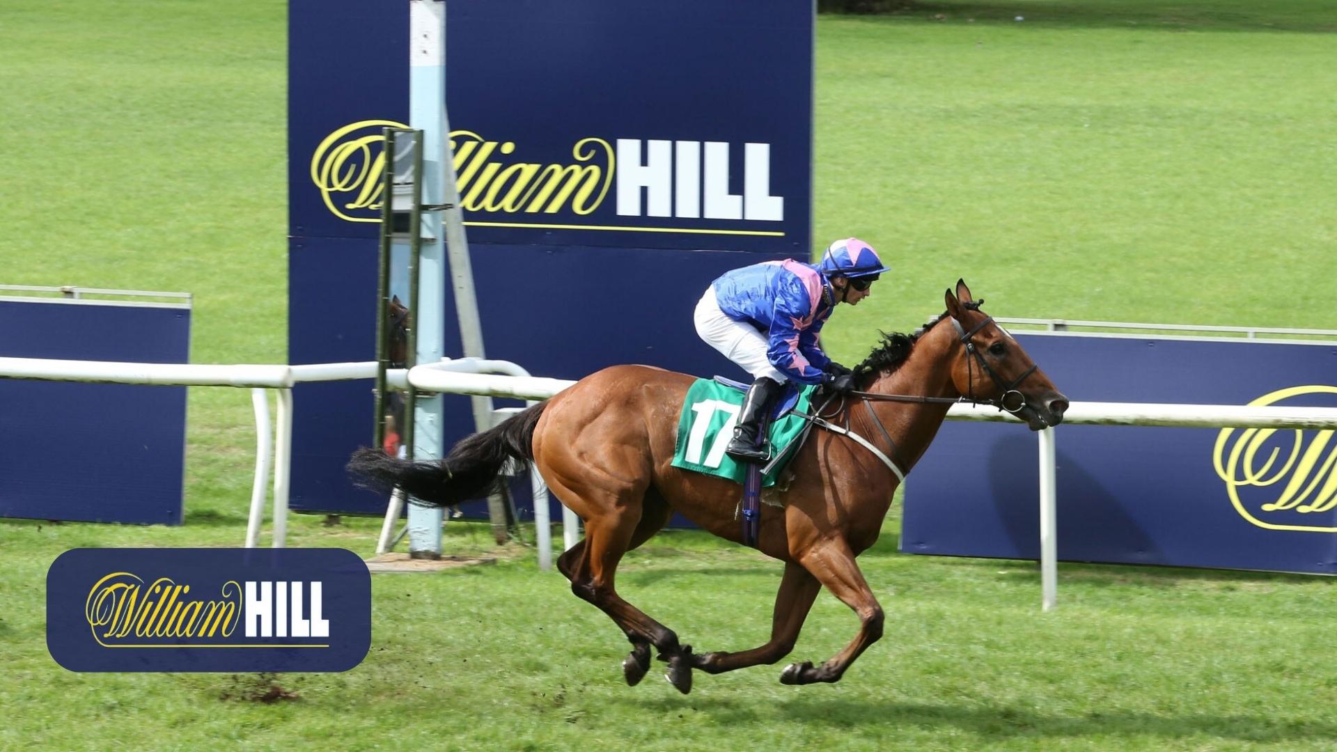 william-hill-bonus-ninjabet-matched-betting-online-wetten-betfair-den-buchmacher-spielen